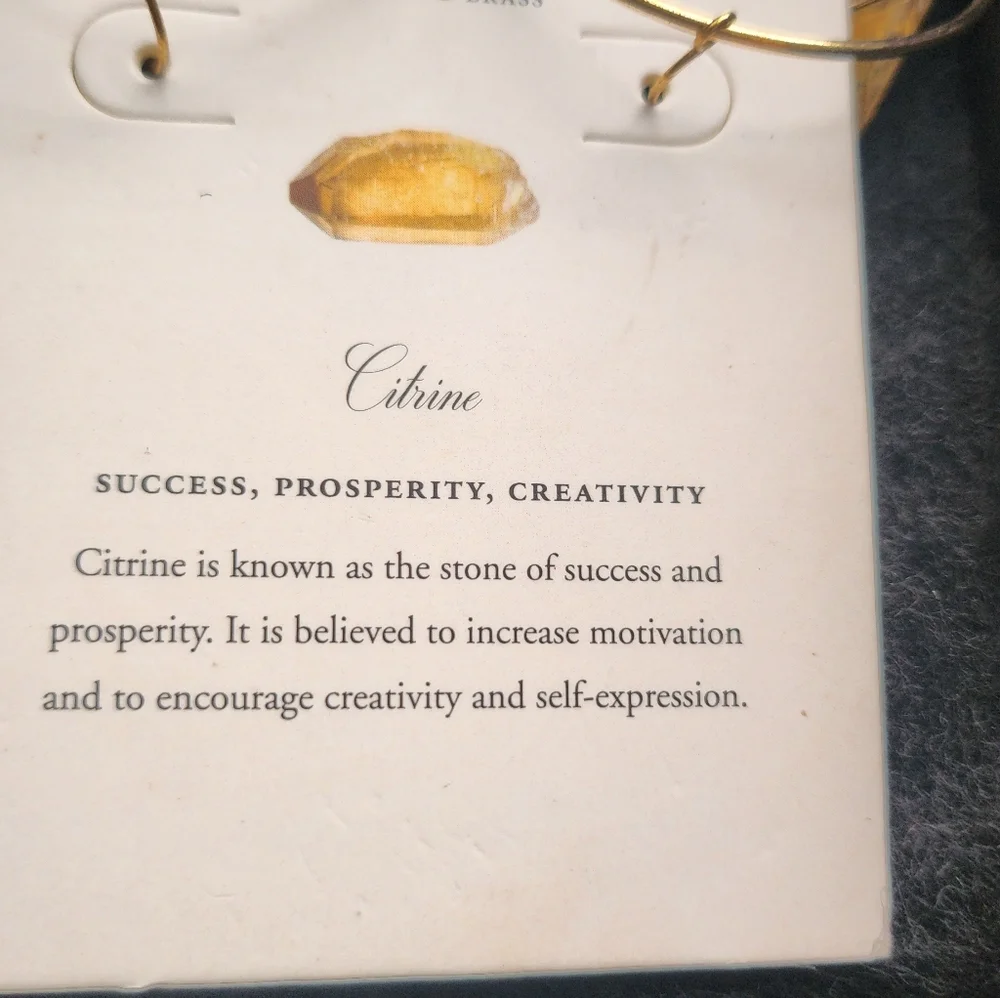 Luna Norte Citrine Hoop Earrings - Picture 3 of 4